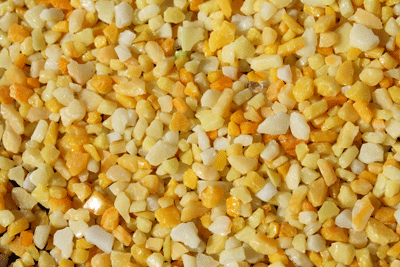 pumpkin orange 0321 1